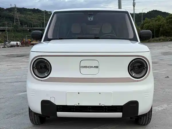 Geely Galaxy Panda 2024