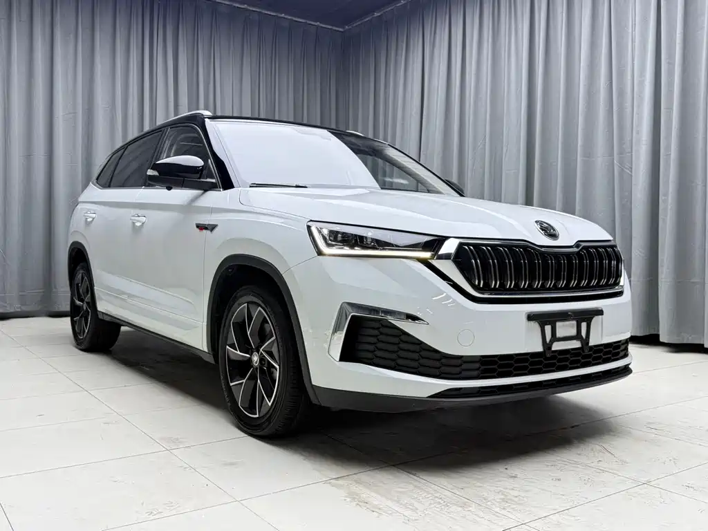 Skoda Kamiq 2023 — фото 3