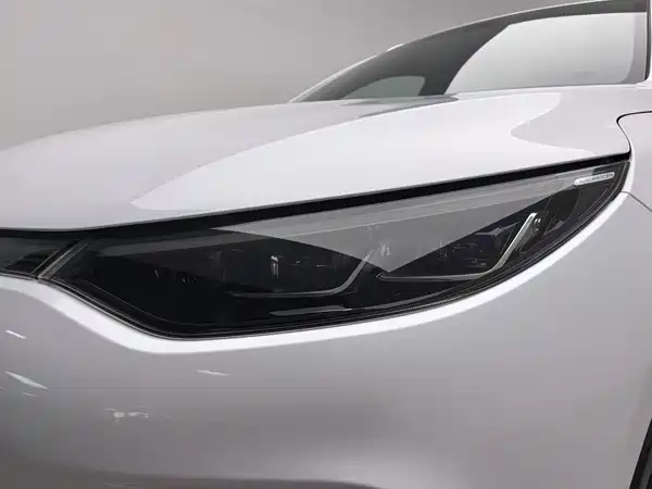 Denza X 2021