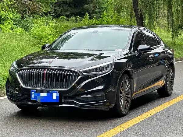 Hongqi H5 2021