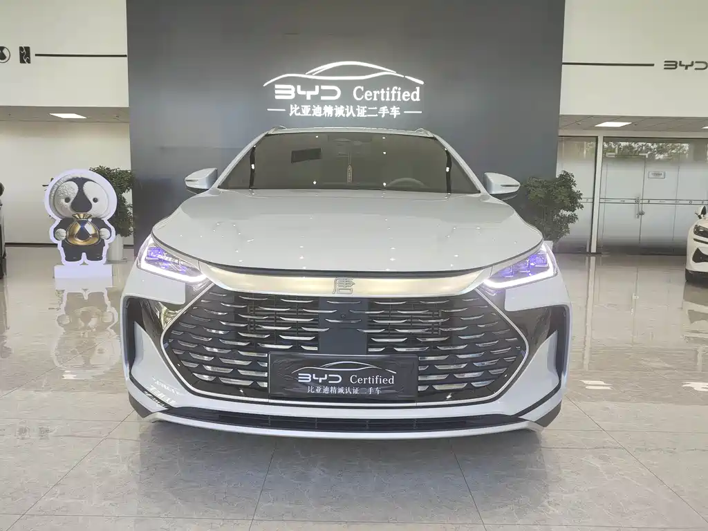 BYD Tang New Energy 2024