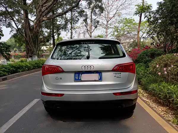 Audi Q5 2010