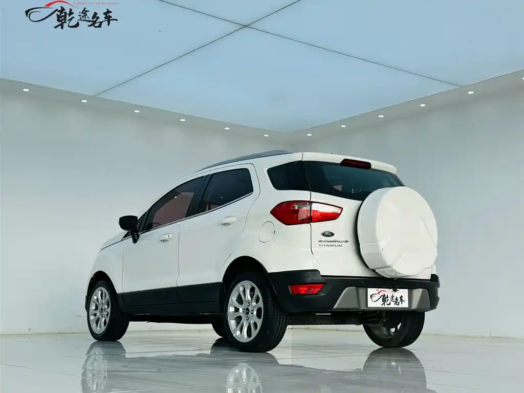 Ford Ecosport 2017 — фото 5