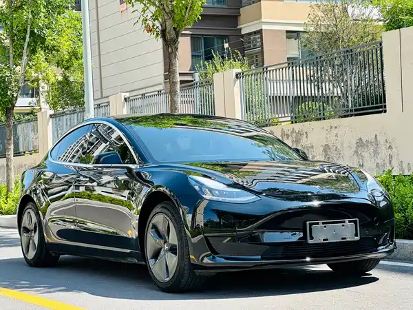 Tesla Model 3 2020