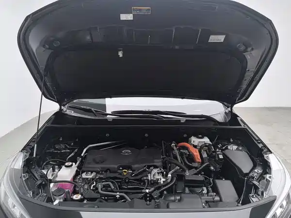 Toyota Wildlander 2021