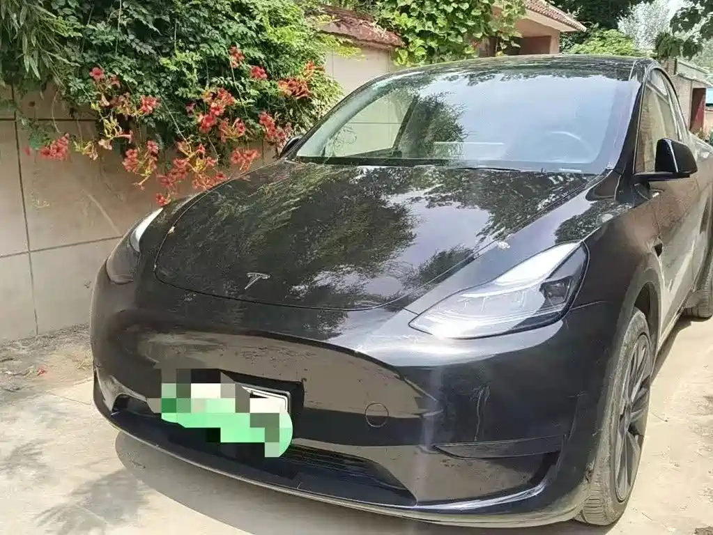Tesla Model Y 2024 — фото 2