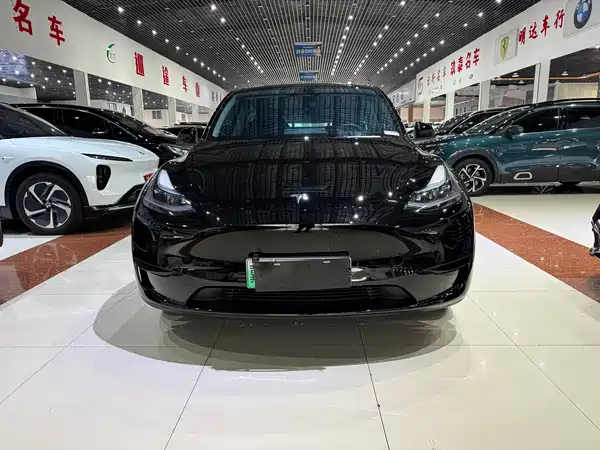 Tesla Model Y 2024
