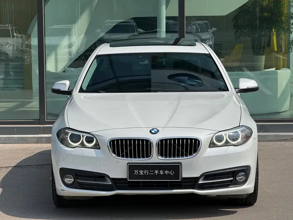 BMW 5 Series 2017 — фото 18