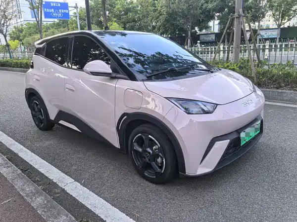 BYD Seagull 2024