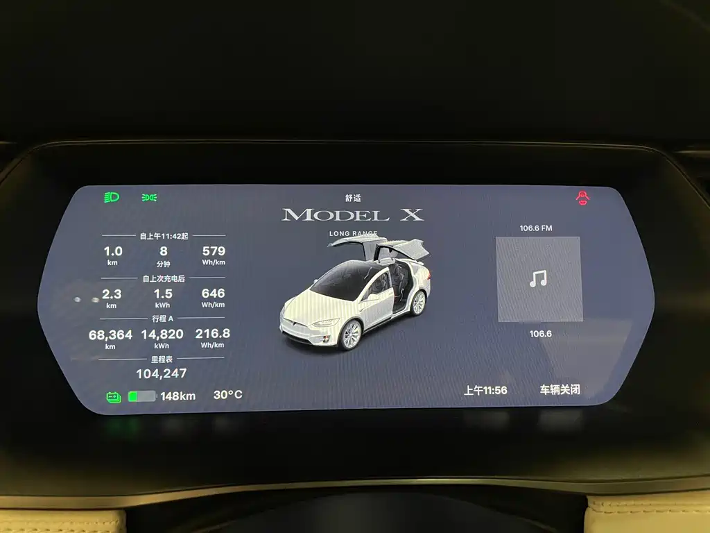 Tesla Model X 2019 — фото 13