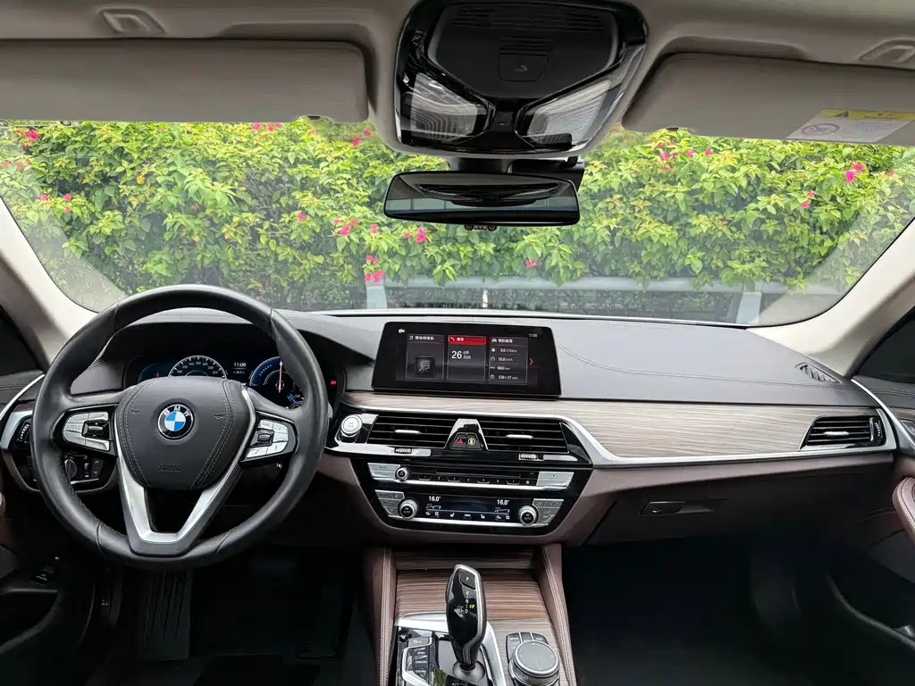 BMW 5 Series New Energy 2019