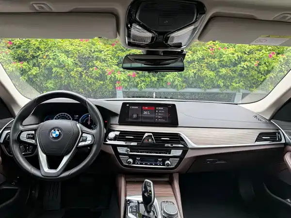 BMW 5 Series New Energy 2019