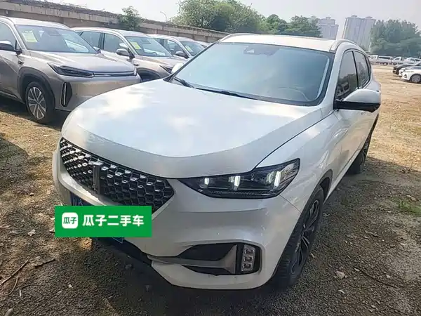 Wey VV6 2021
