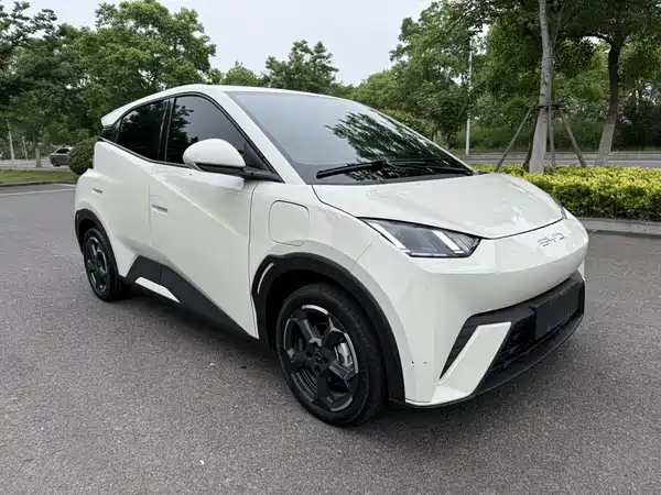 BYD Seagull 2023