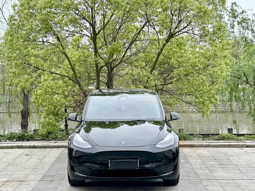 Tesla Model Y 2023 — фото 2