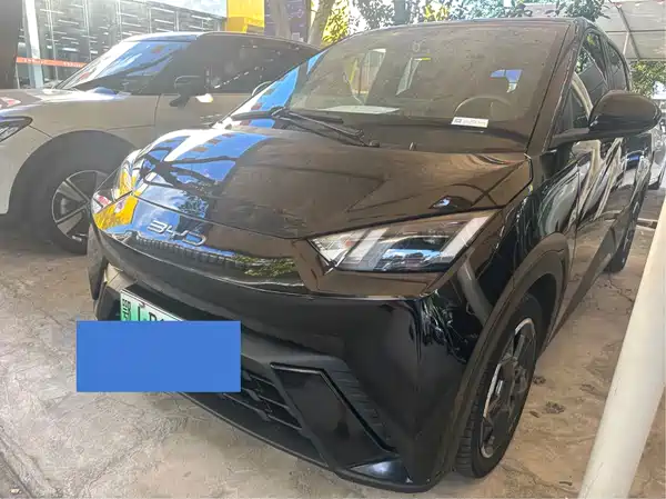BYD Seagull 2024