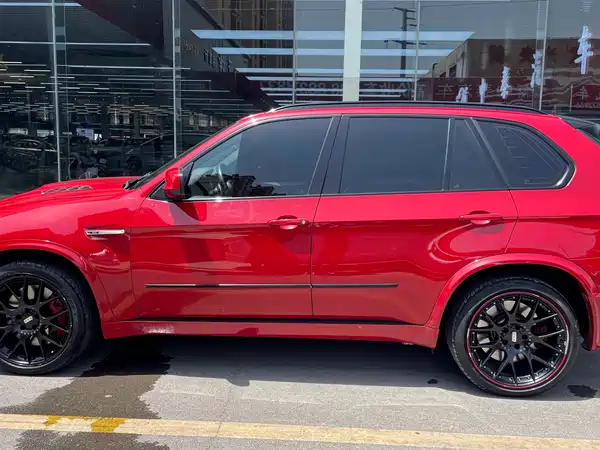 BMW X5 2010