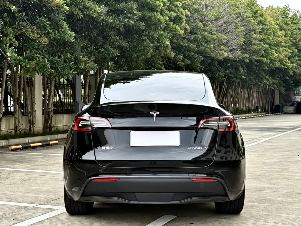 Tesla Model Y 2021 — фото 11