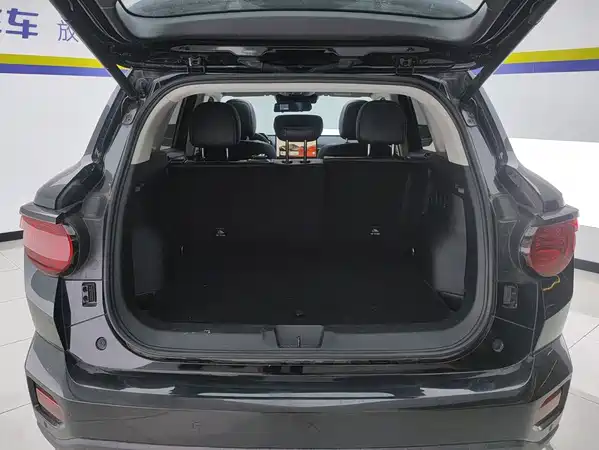 Haval Dog PLUS 2024