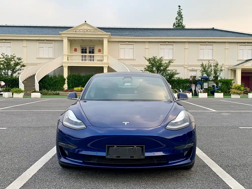Tesla Model 3 2020 — фото 2