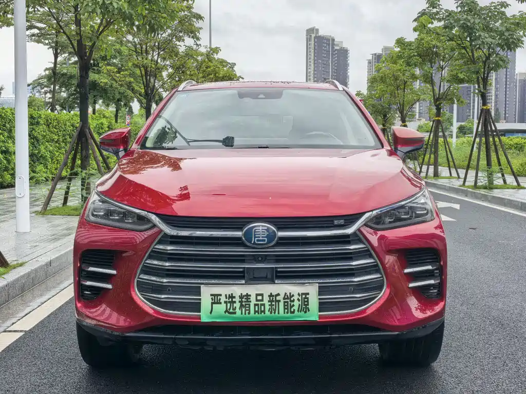 BYD Tang New Energy 2020 — фото 2