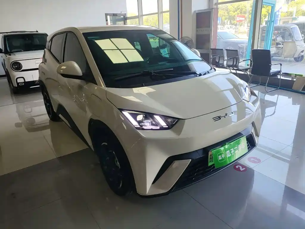 BYD Seagull 2024