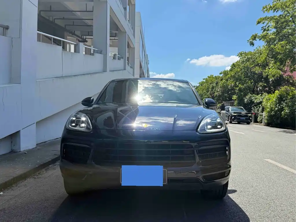 Porsche Cayenne 2019 — фото 10