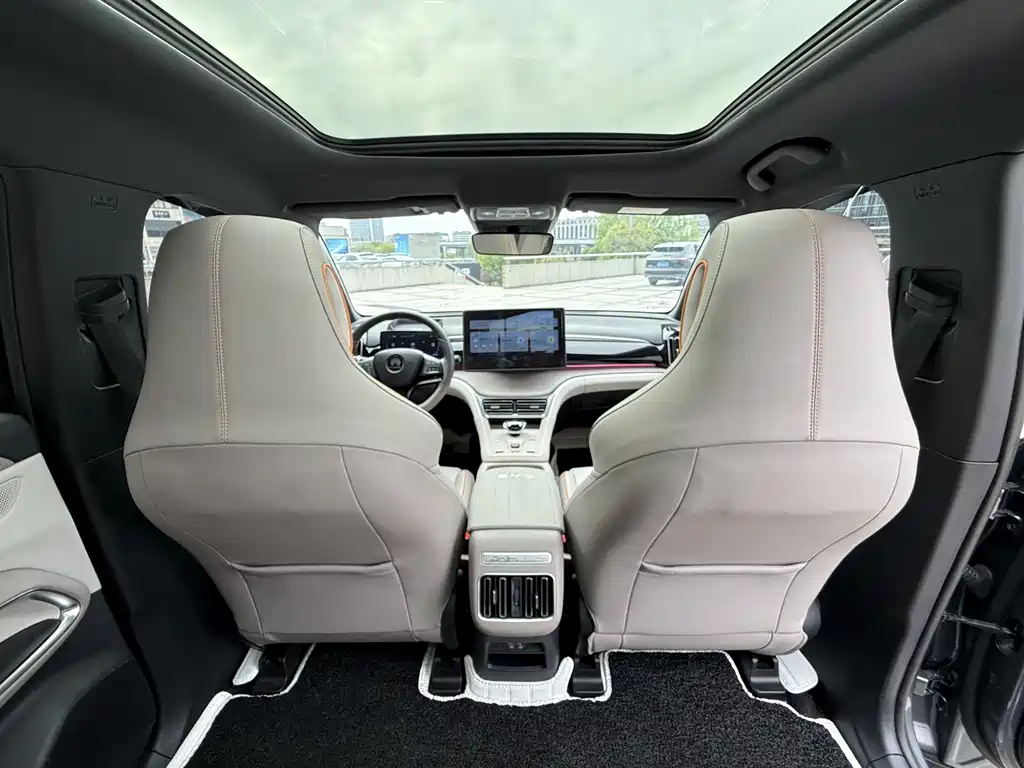 BYD Pro New Energy 2024 — фото 19