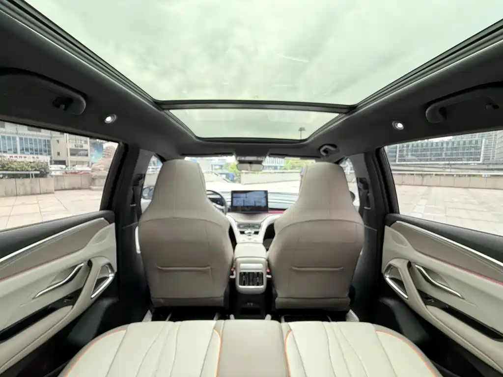 BYD Pro New Energy 2024 — фото 13