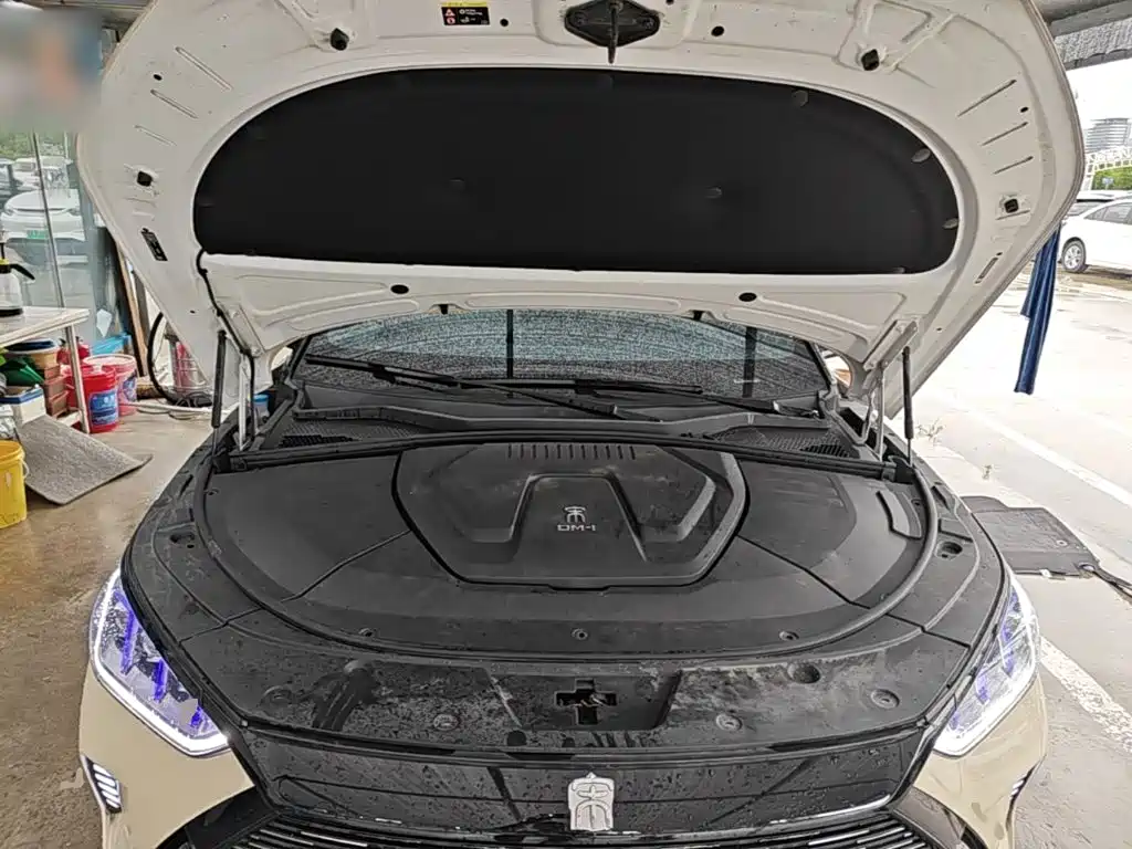 BYD Song PLUS New Energy 2023 — фото 20
