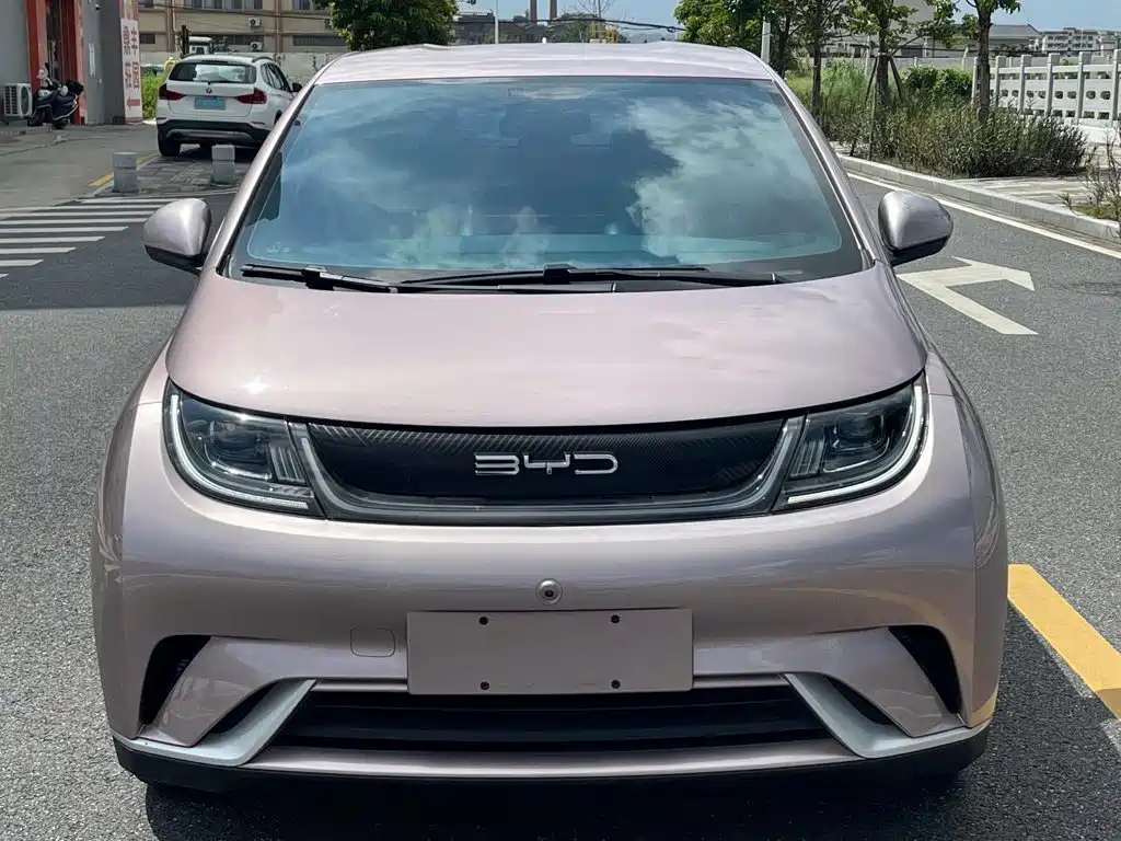 BYD Dolphin 2022