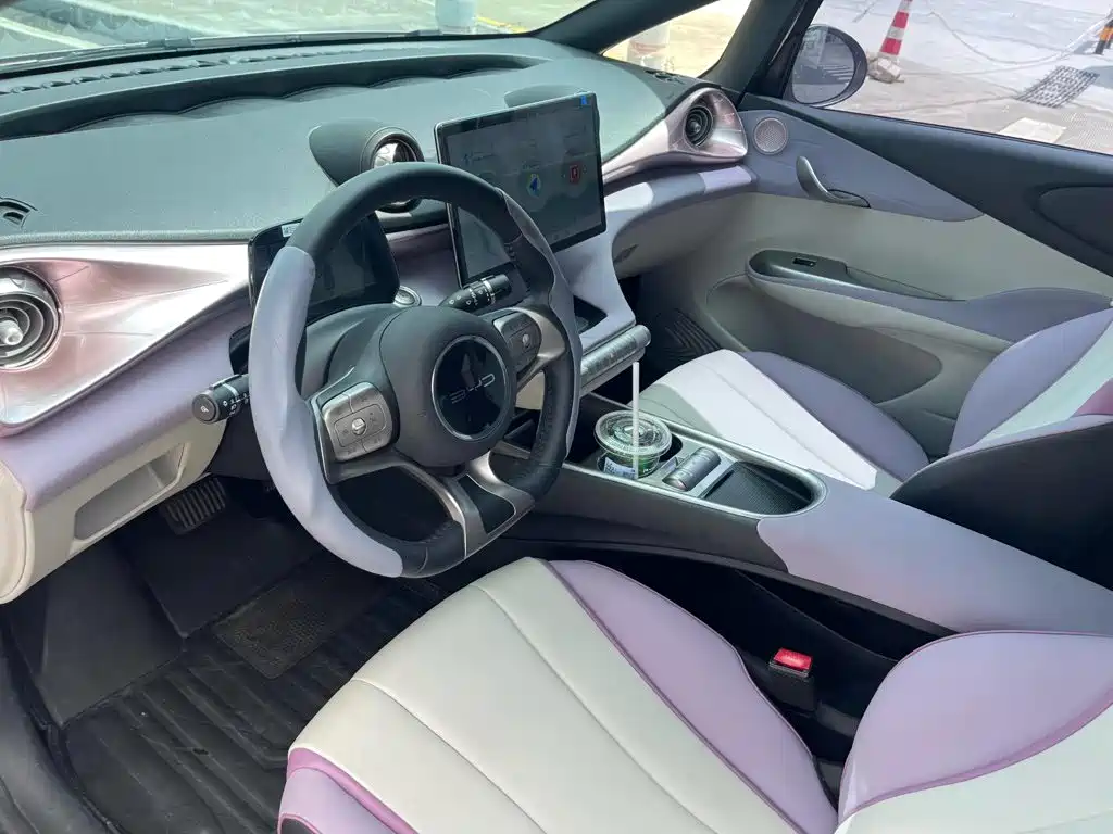 BYD Dolphin 2022