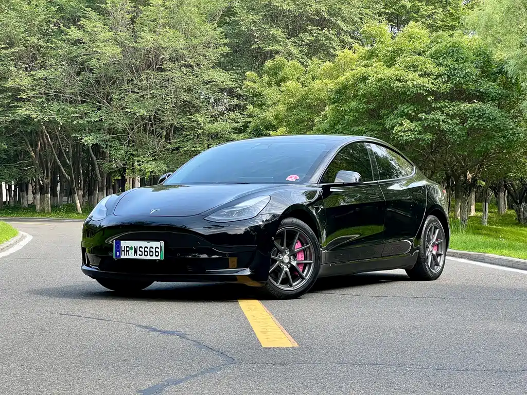 Tesla Model 3 2021 — фото 1