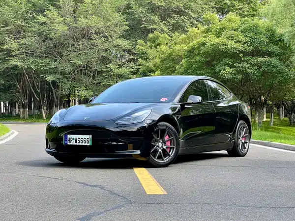 Tesla Model 3 2021