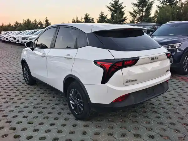 Neta V 2021