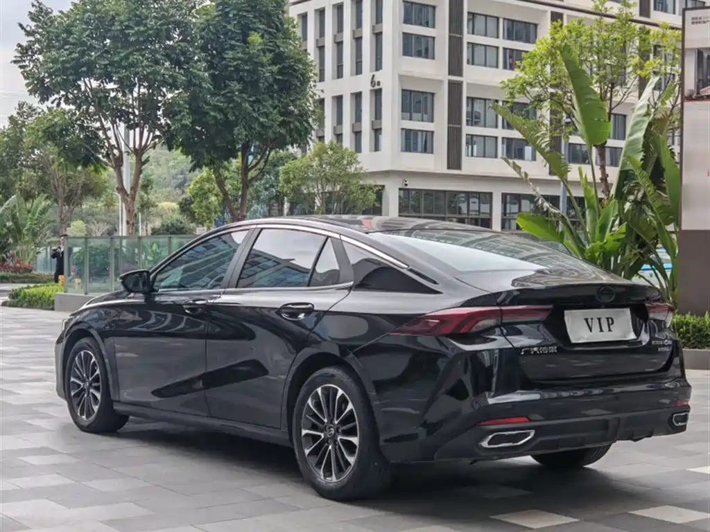 GAC Motor Shadow Leopard 2024 — фото 23