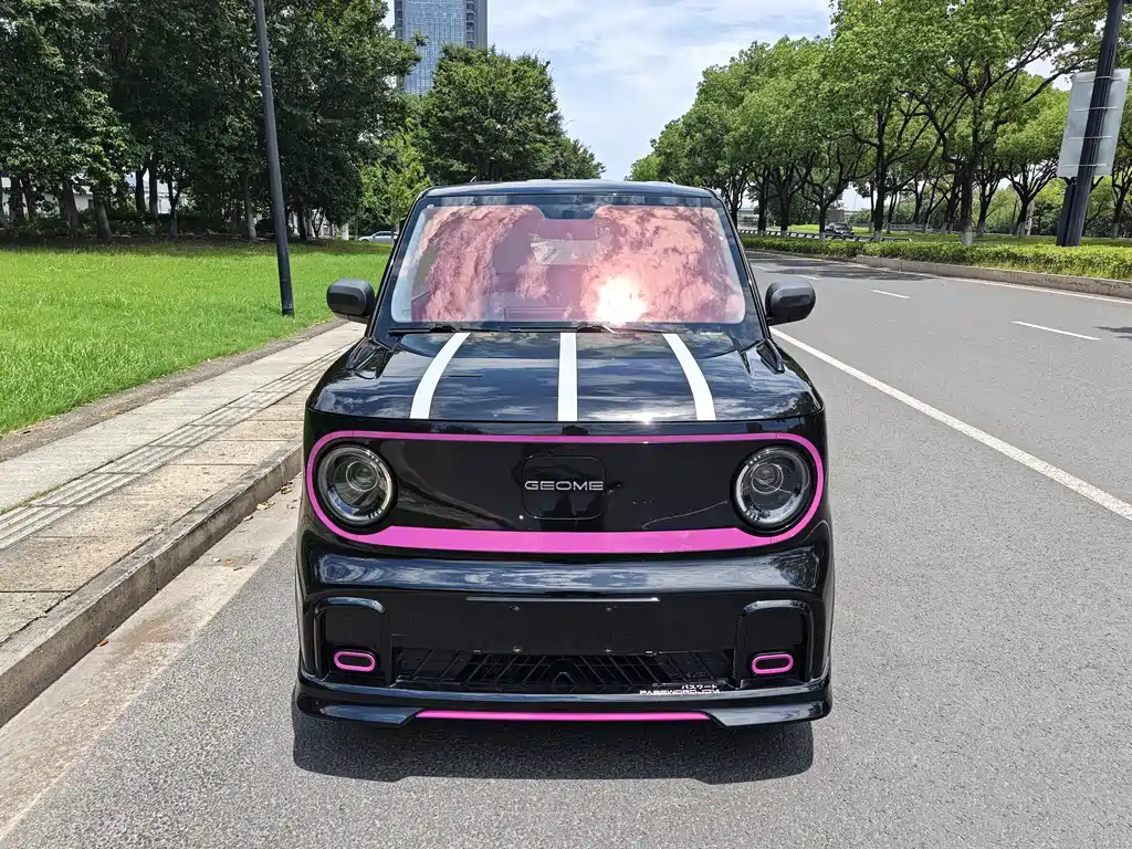 Geely Galaxy Panda 2025