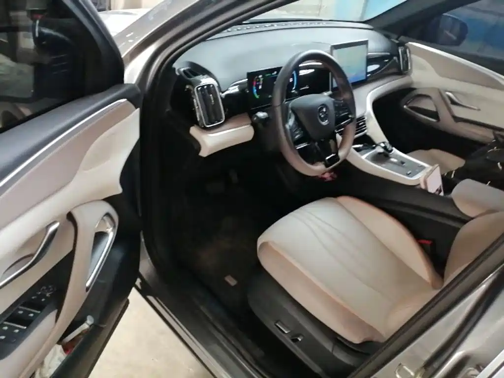 BYD Pro New Energy 2025 — фото 16