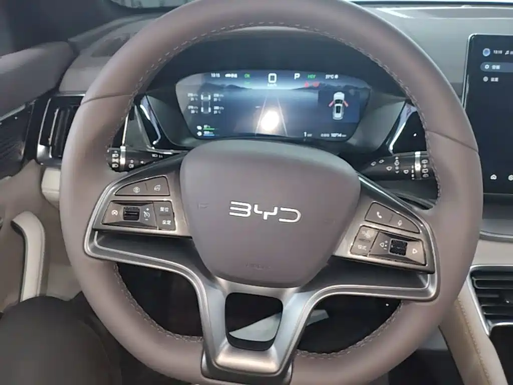 BYD PLUS New Energy 2025 — фото 11