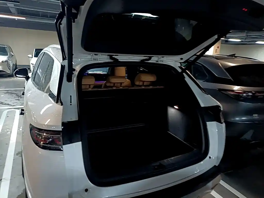 BYD L DM-i 2025 — фото 19