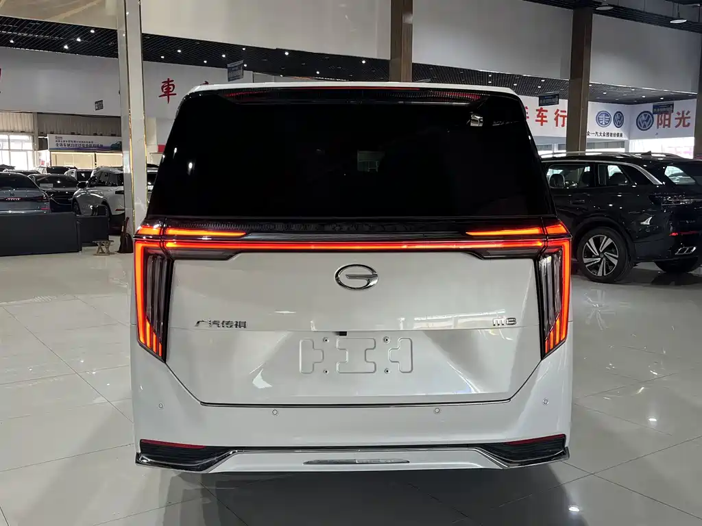 GAC Motor Trumpchi M8 2023 — фото 21
