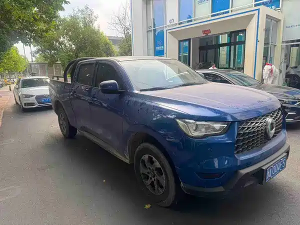 Great Wall Poer 2022