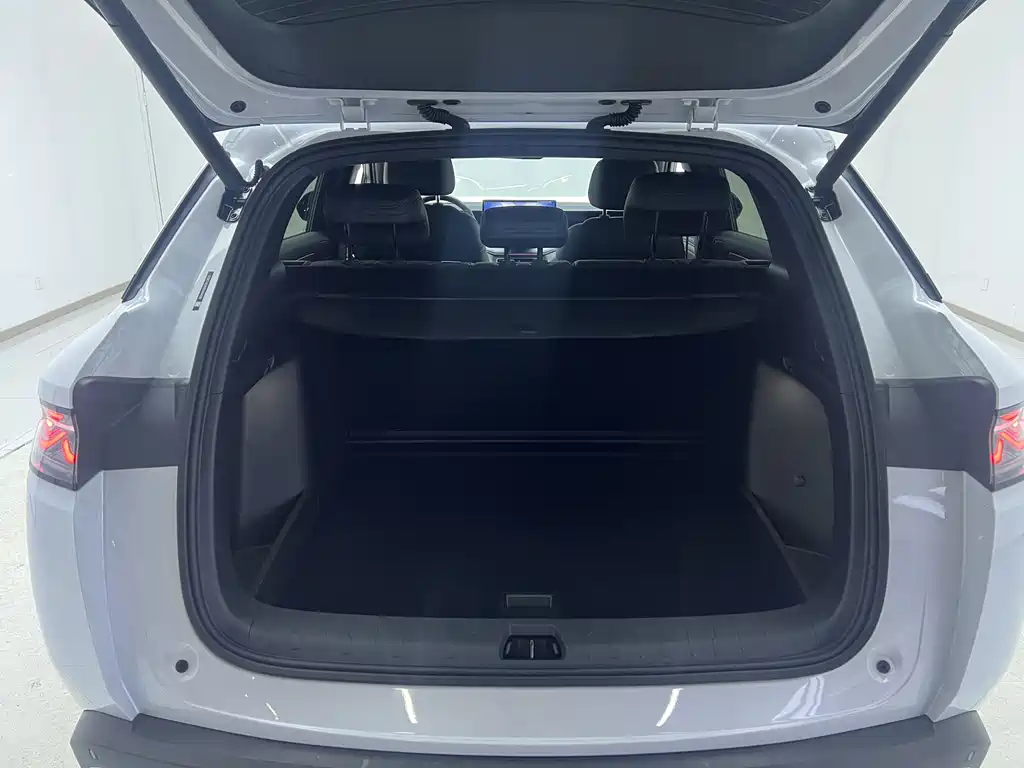 BYD L DM-i 2025 — фото 19