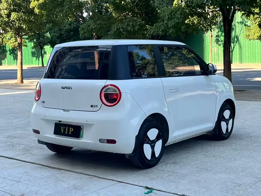 Qiyuan Lumin 2023