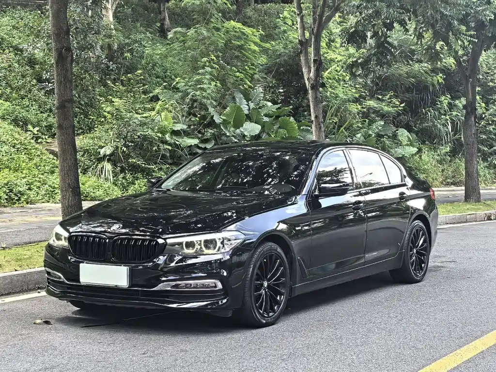 BMW 5 Series 2019