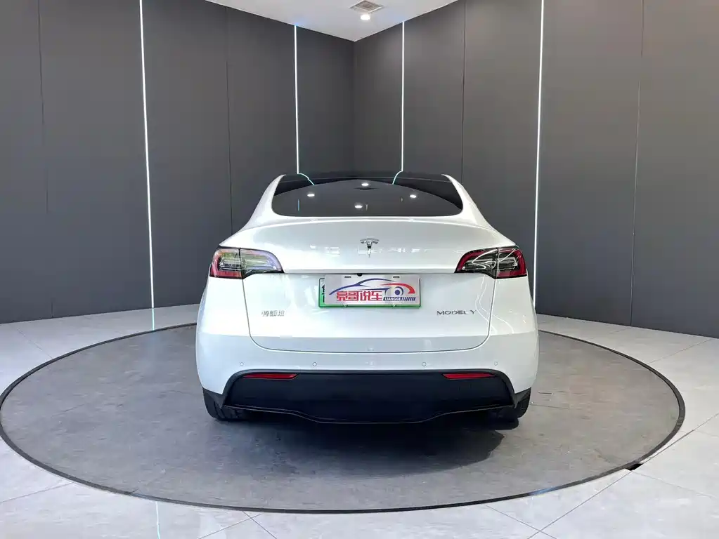 Tesla Model Y 2021 — фото 7