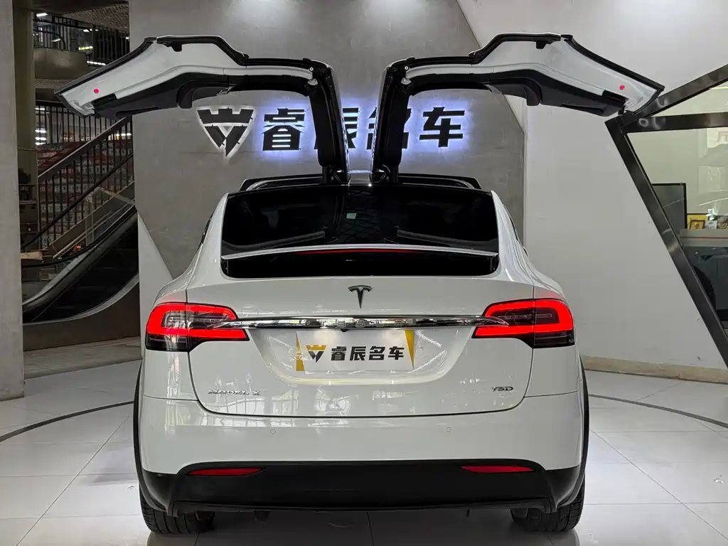 Tesla Model X 2019 — фото 5