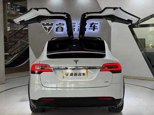 Tesla Model X 2019