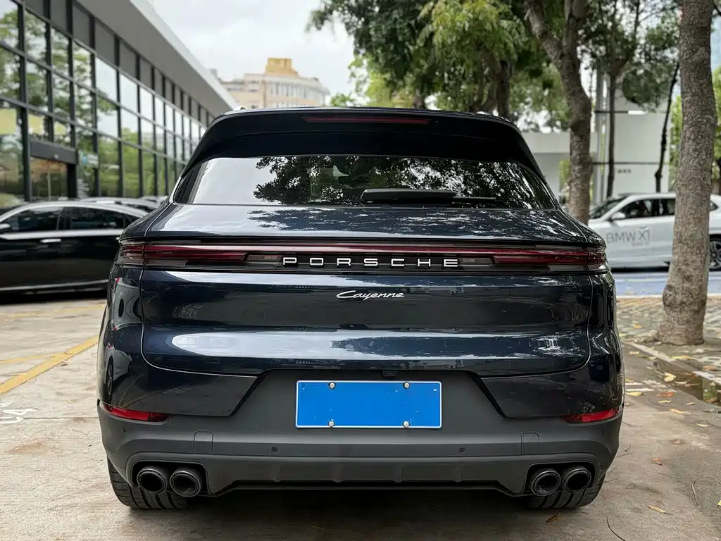Porsche Cayenne 2025 — фото 10