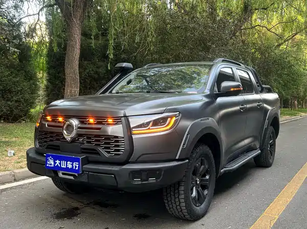 Great Wall Poer 2021